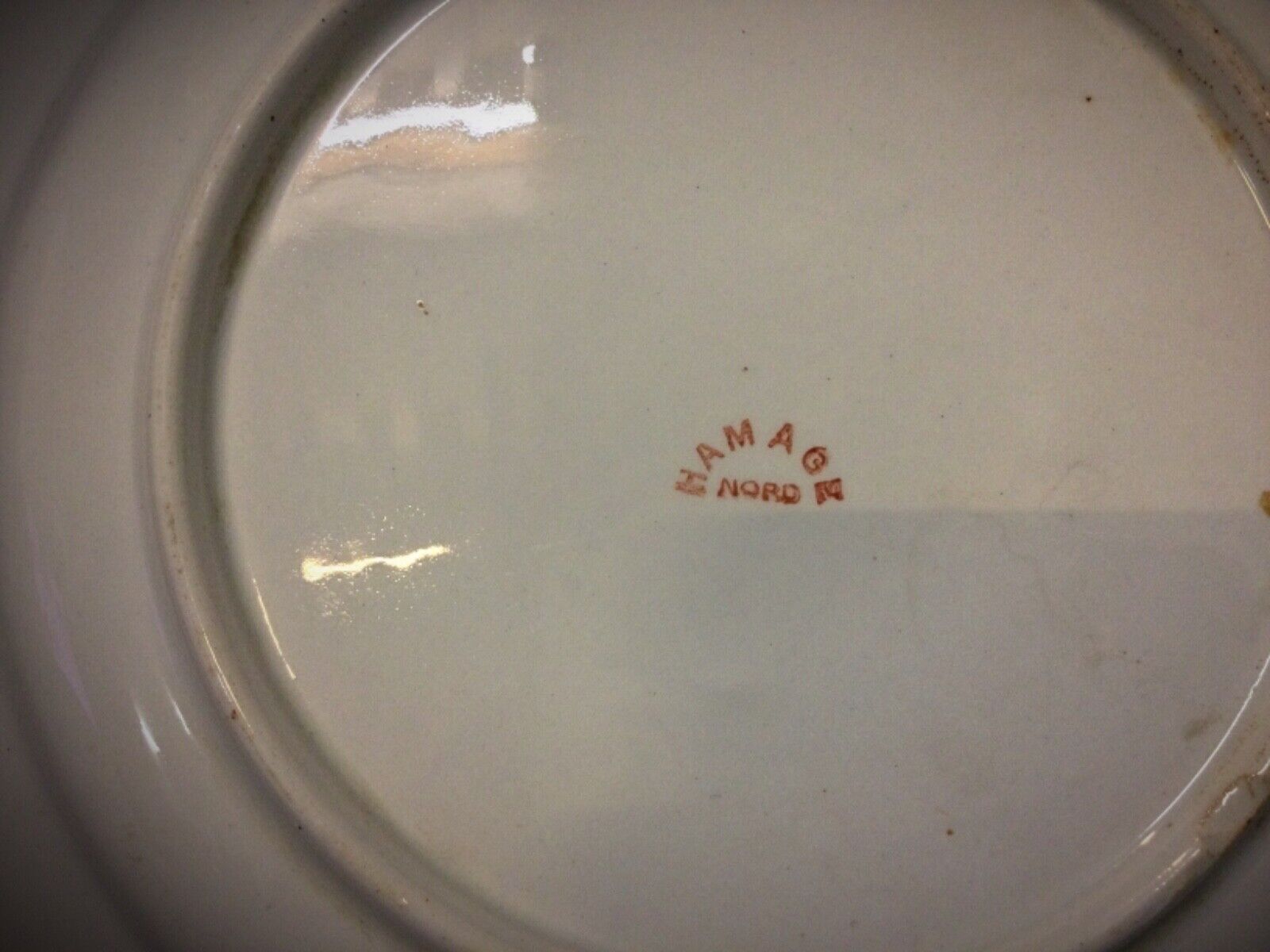 Zoomed-in image of the glaze texture on the faience plate’s surface.
