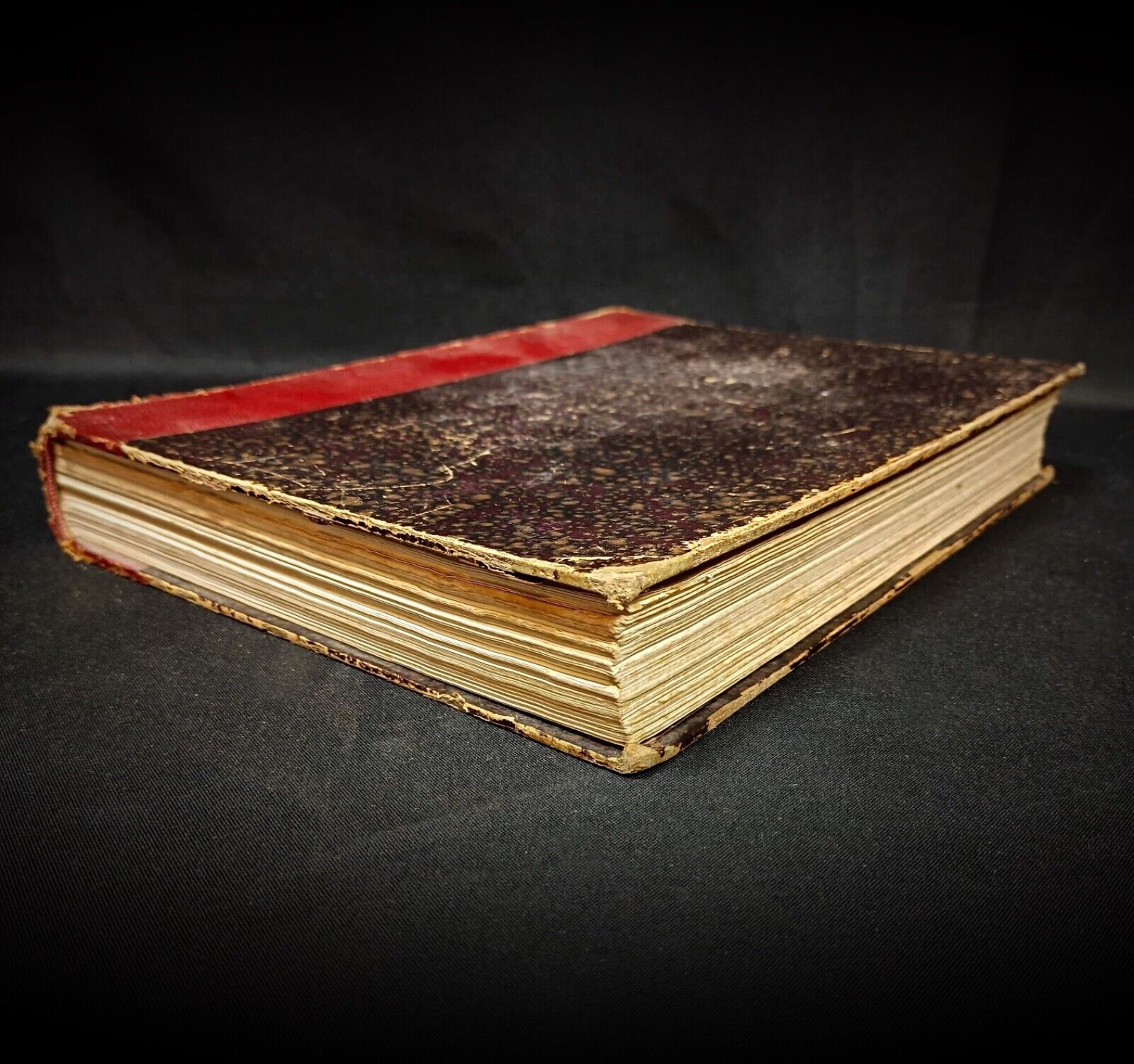 Vintage animal engravings from Charles J. Cornish

