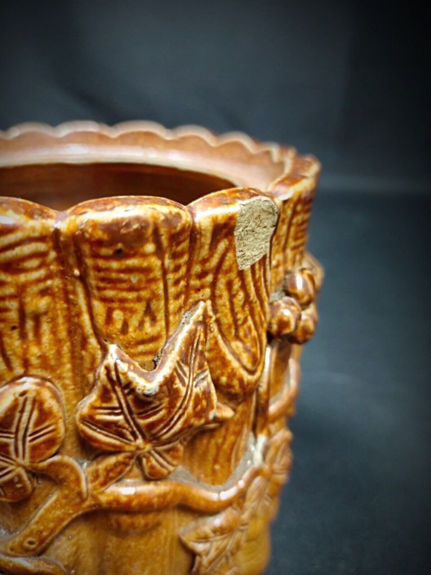 Terra cotta planter with grapevine and leaves

