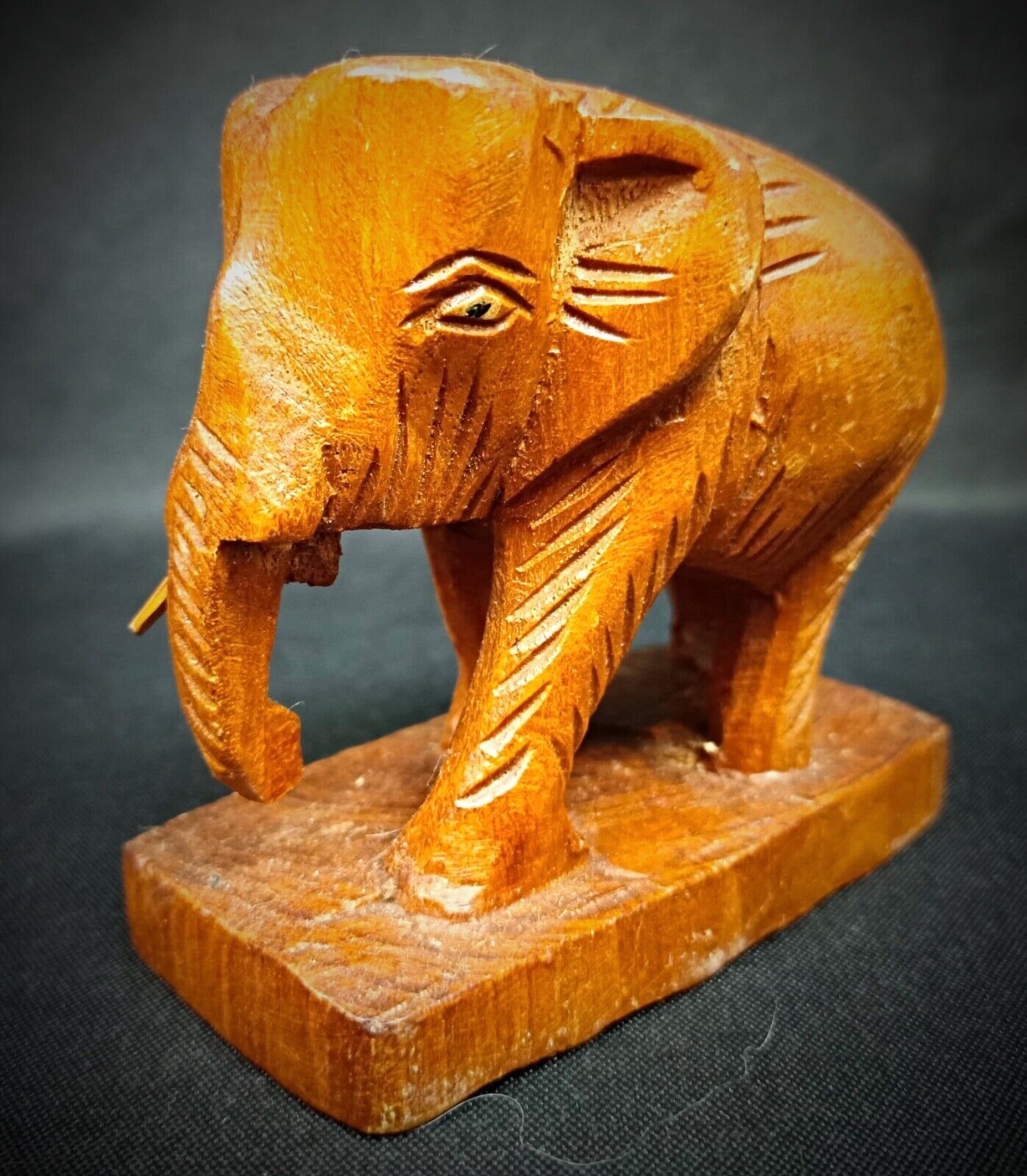 Side view showing missing tusk detail

