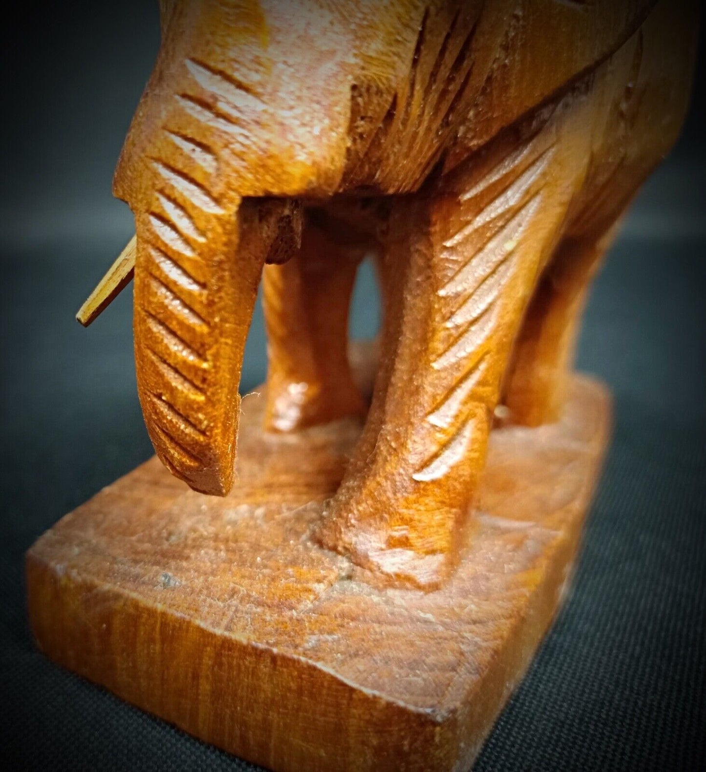Tusks area with one missing, adding character

