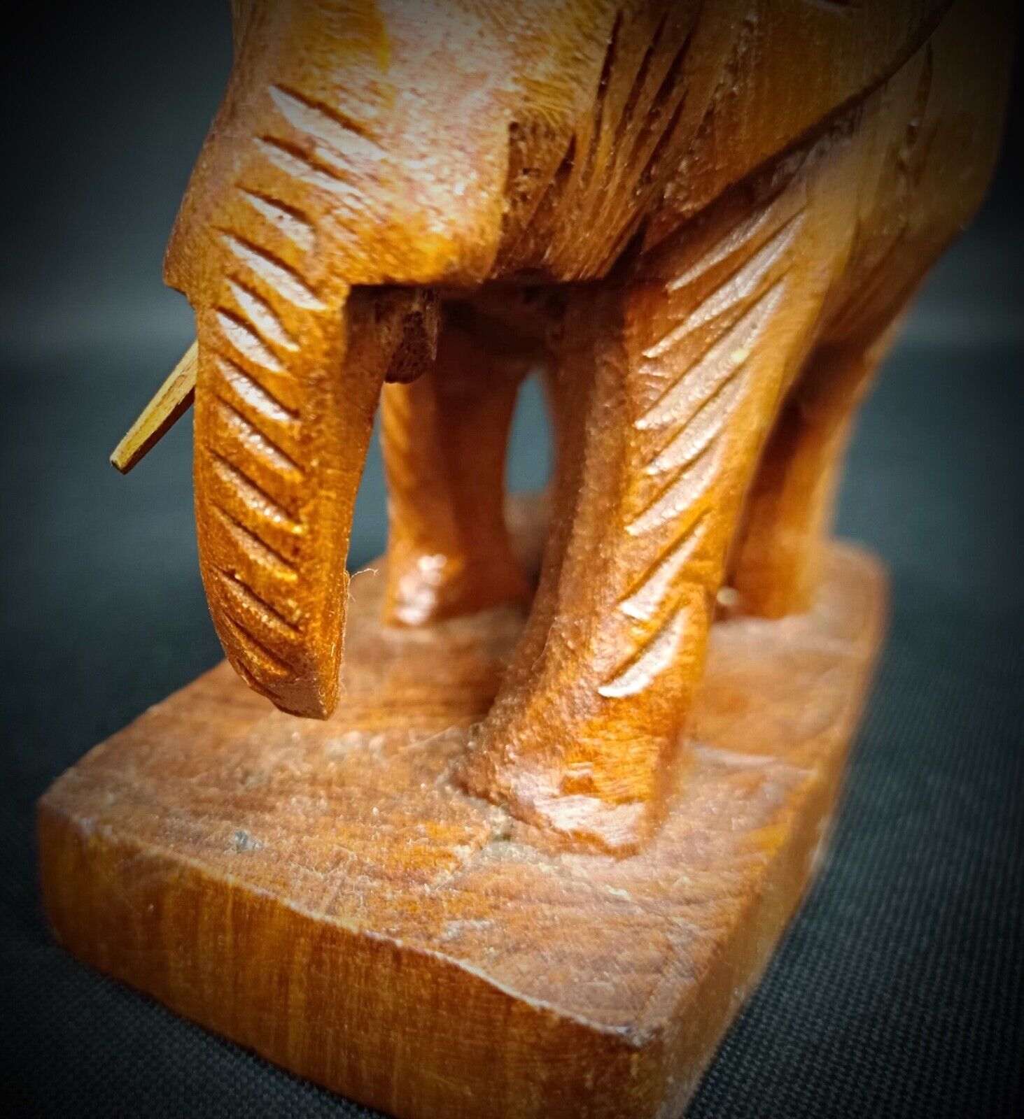 Tusks area with one missing, adding character

