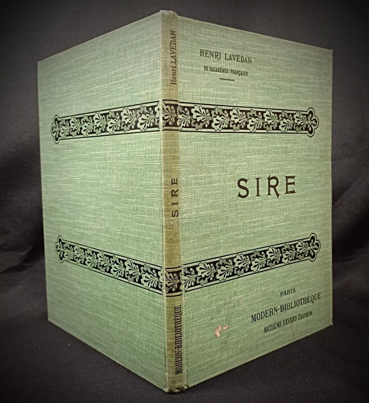 Book opened showing interior pages and typography

