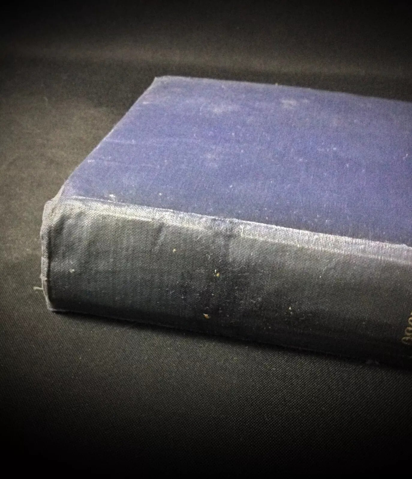 Close-up detail of the worn cover, title, and author's name.

