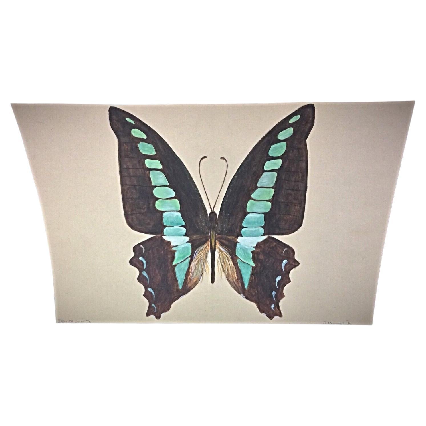 J. René Rommel watercolor butterfly 1985 signed brown blue nature art
