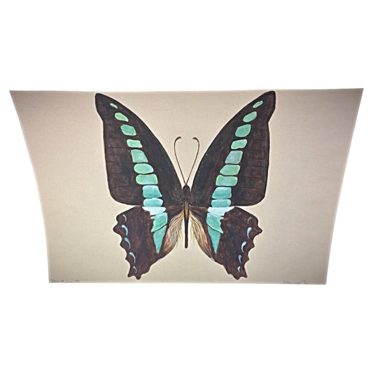 J. René Rommel watercolor butterfly 1985 signed brown blue nature art