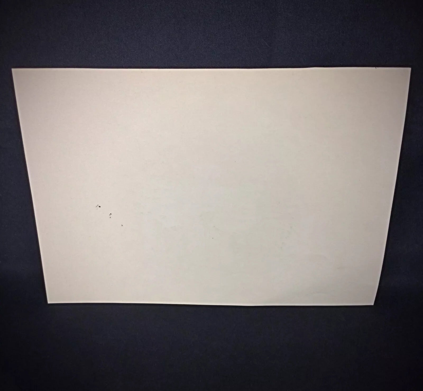 Vintage butterfly watercolor brown blue Rommel 20th century still life