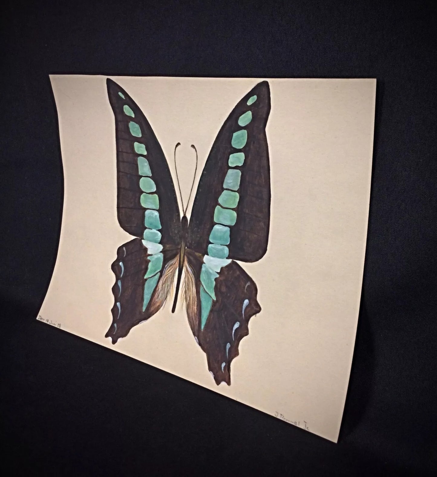 Rommel signed nature artwork 1985 watercolor on paper collectible