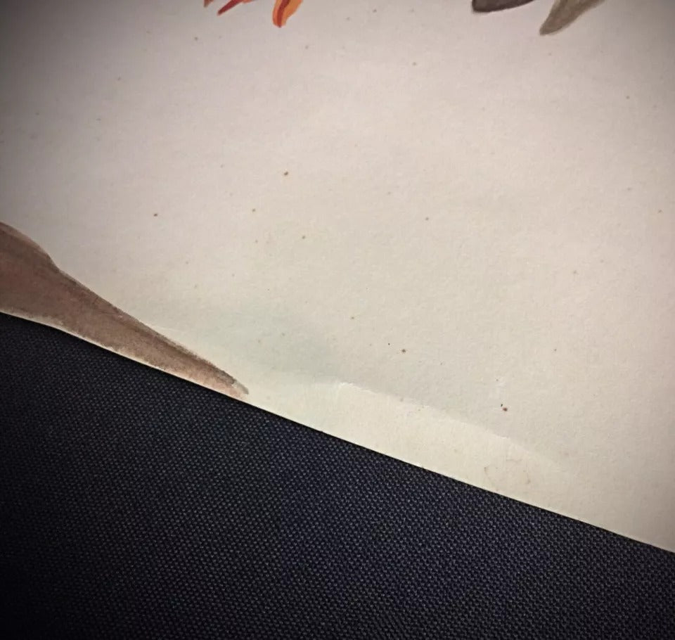 Mid-century nature painting depicting a detailed rooster in characteristic Rommel style on paper

