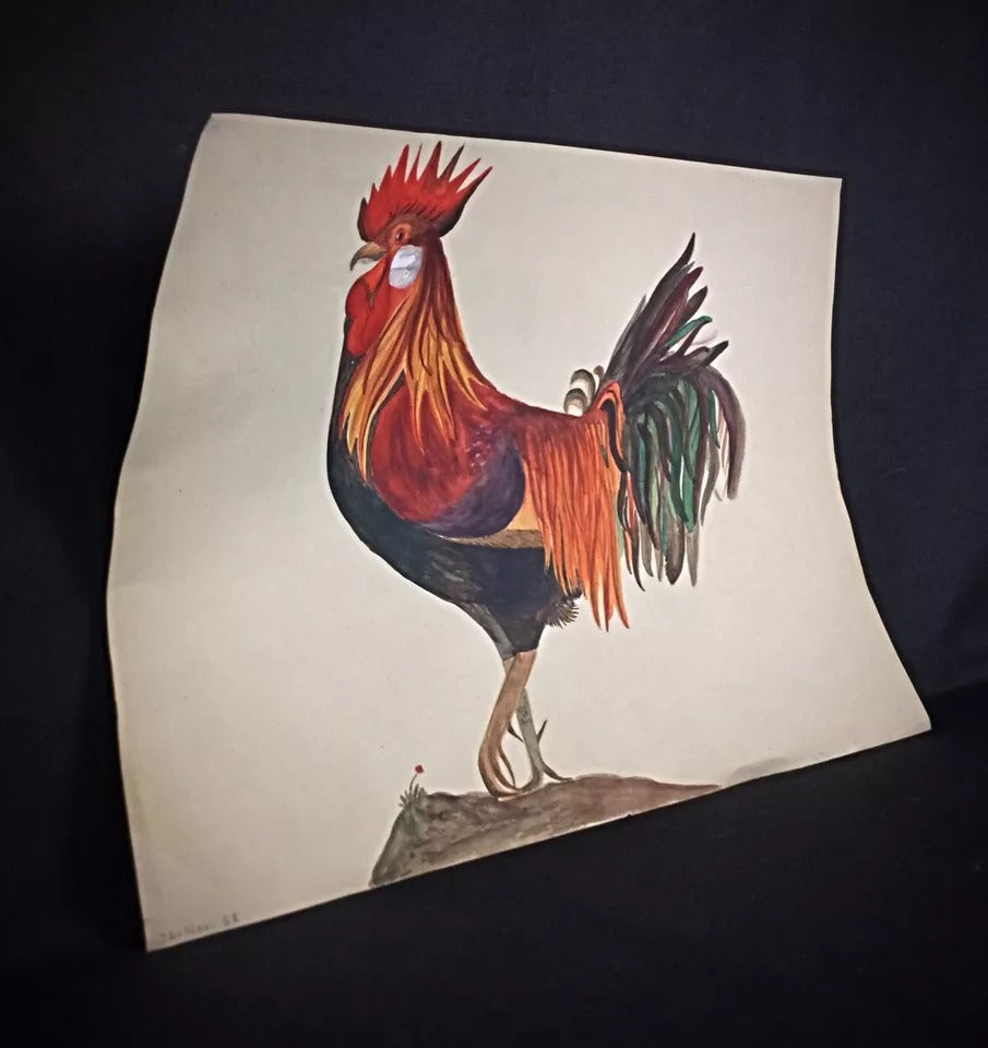 Close-up of signed watercolor by J. René Rommel showcasing fine attention to natural detail

