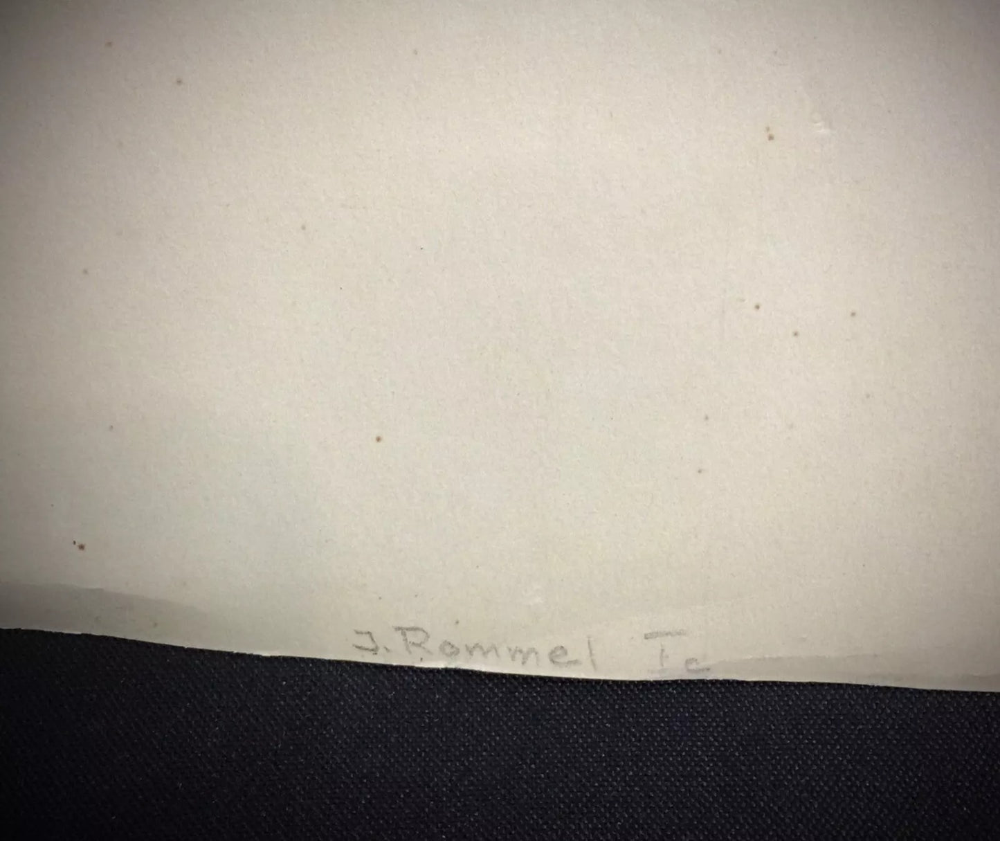 7. Striking still life composition of a rooster rendered in watercolor on paper by J. René Rommel
