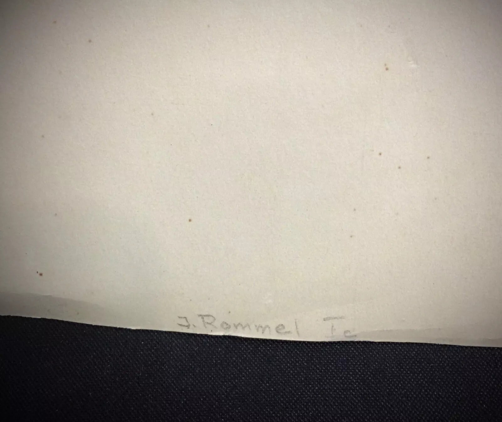 7. Striking still life composition of a rooster rendered in watercolor on paper by J. René Rommel
