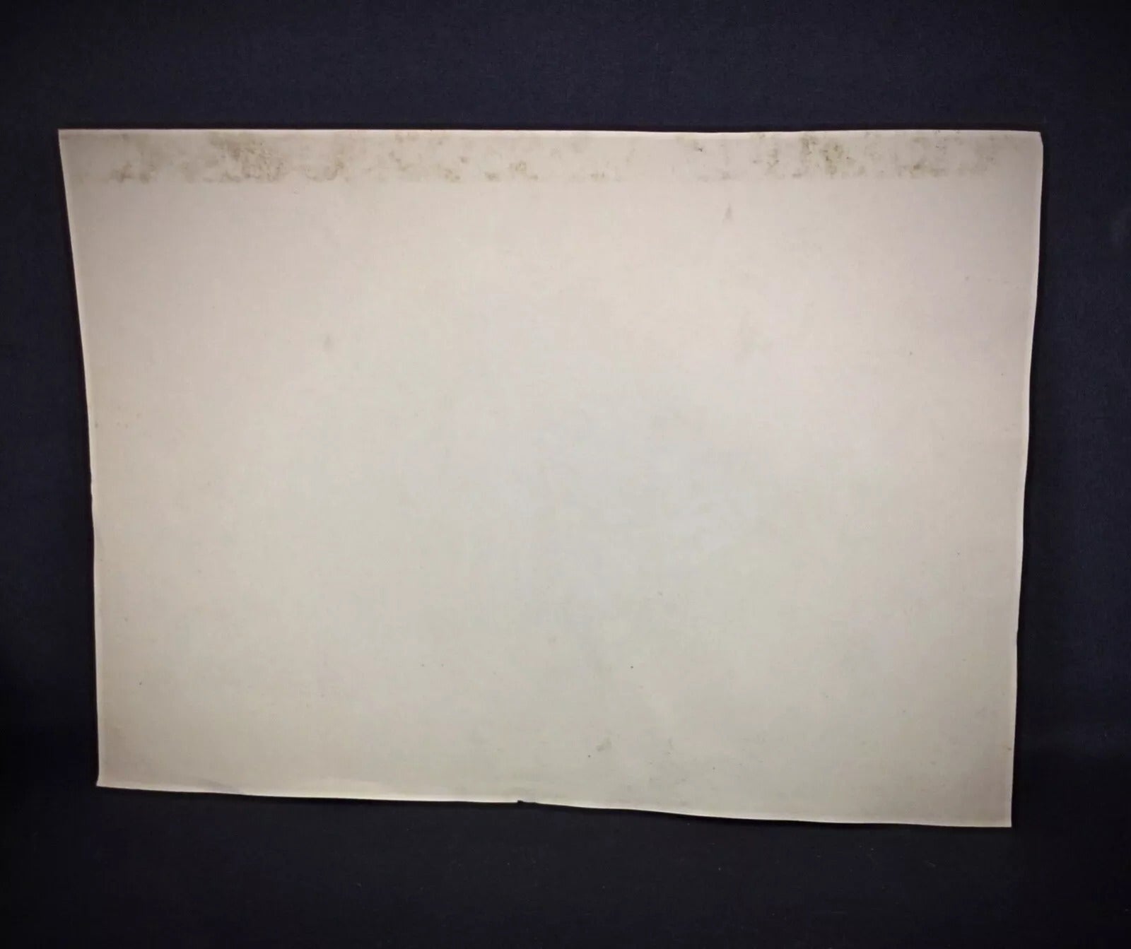 Close-up of rooster's detailed plumage and naturalistic form in 1958 signed watercolor