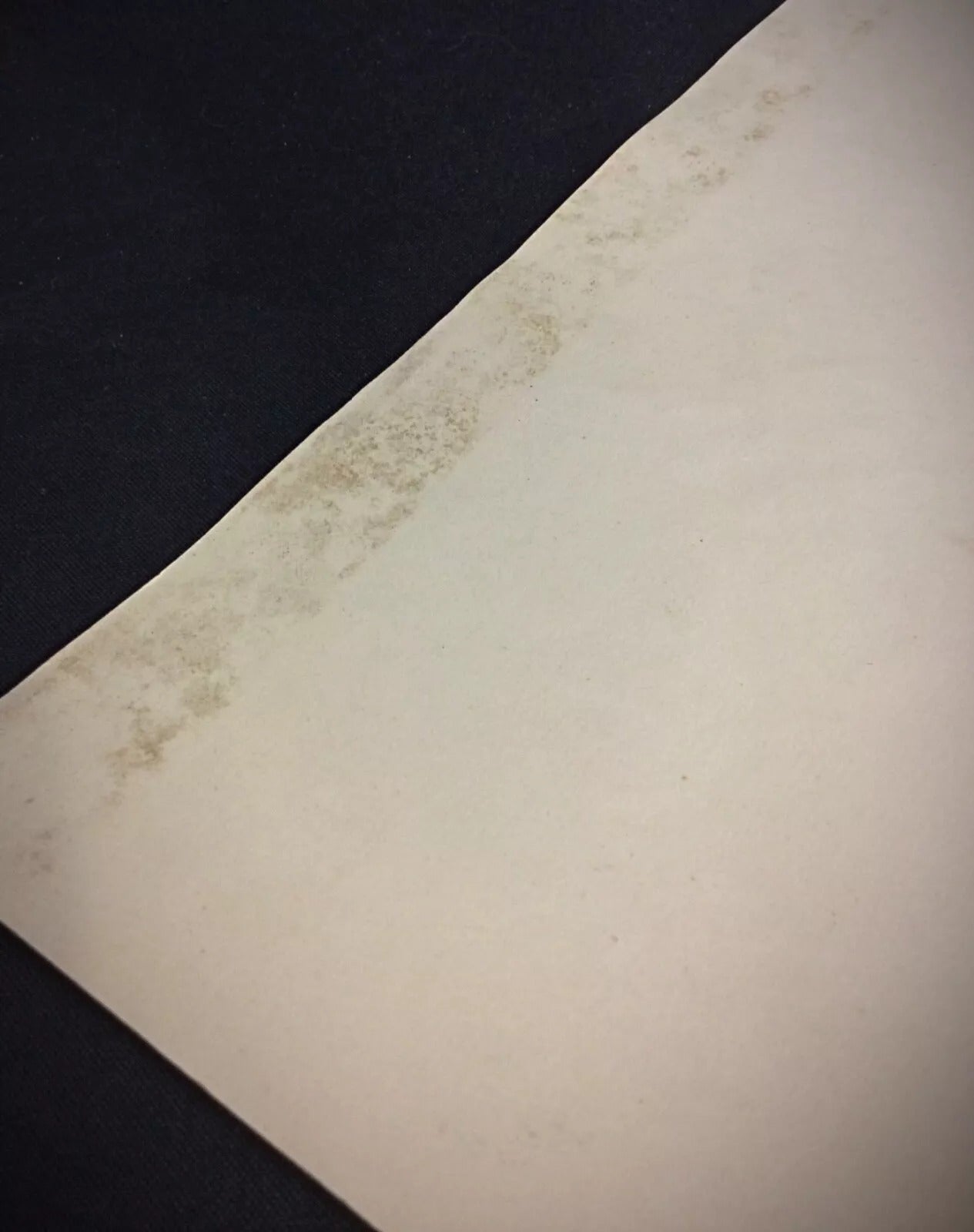 Detail of artist's signature J. René Rommel dated 1958 on mid-century nature painting