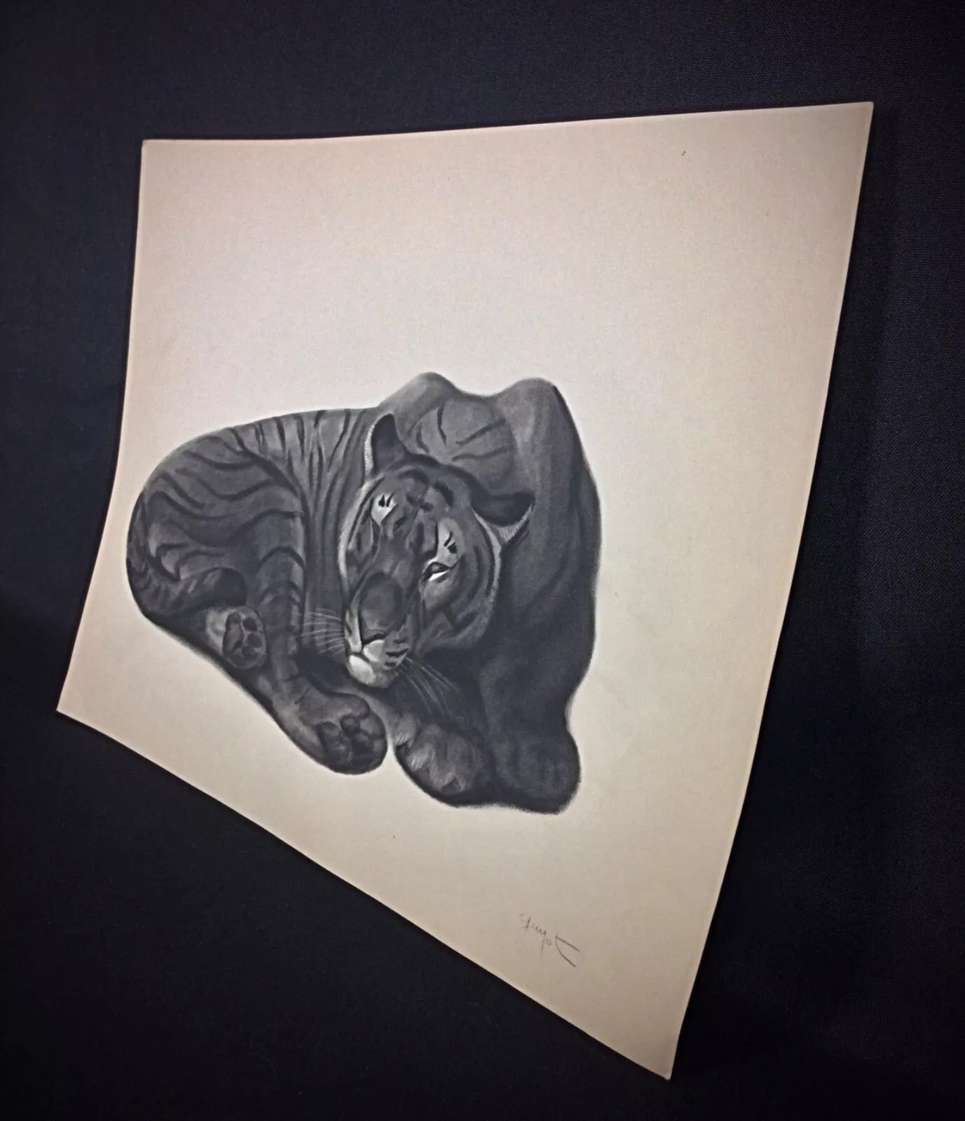 Intricate details of the tiger’s face and fur in the engraving

