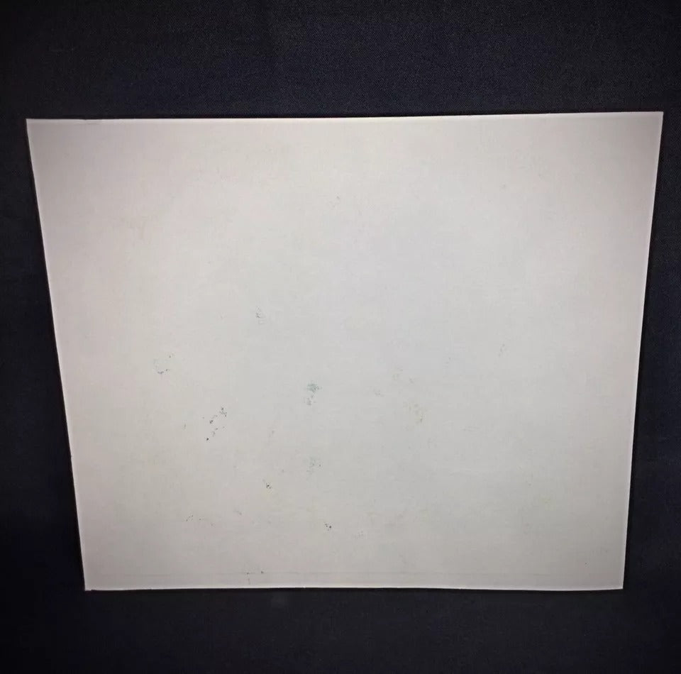 Detail of artist attribution to P. Schenk on vintage lithograph or engraving