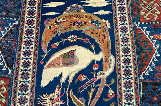 close-up of bird with orange and gold tail on deep blue field
