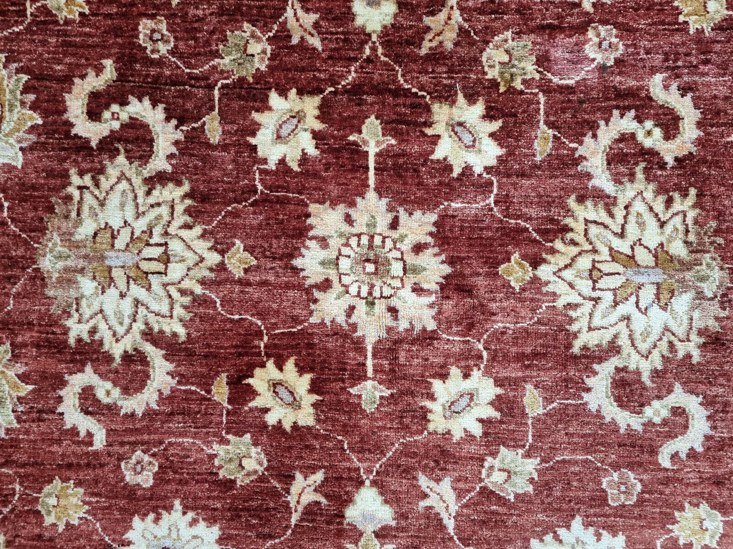 Close-up of cream, red, and green tones on Handmade Vintage Afghan Zigler Rug - Detailed view showcasing the color palette of the rug's borders.