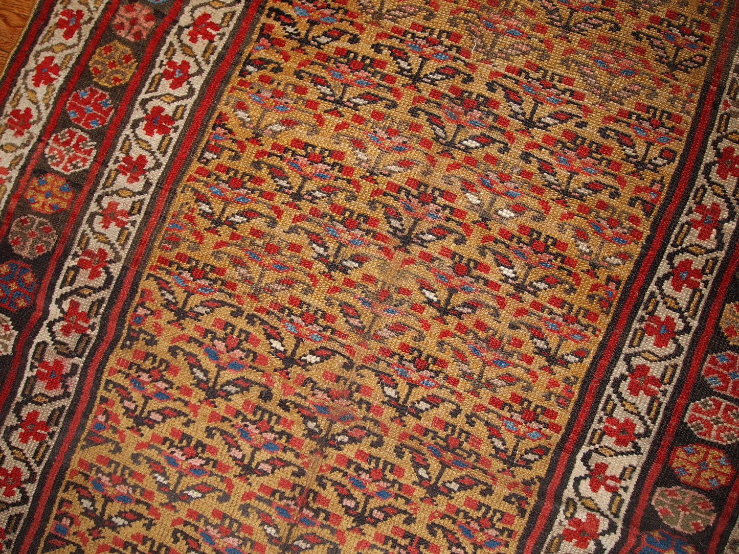 Antique Persian Kurdish rug in yellow, white and red  colors. The rug is from the end of 19th century, in good condition.