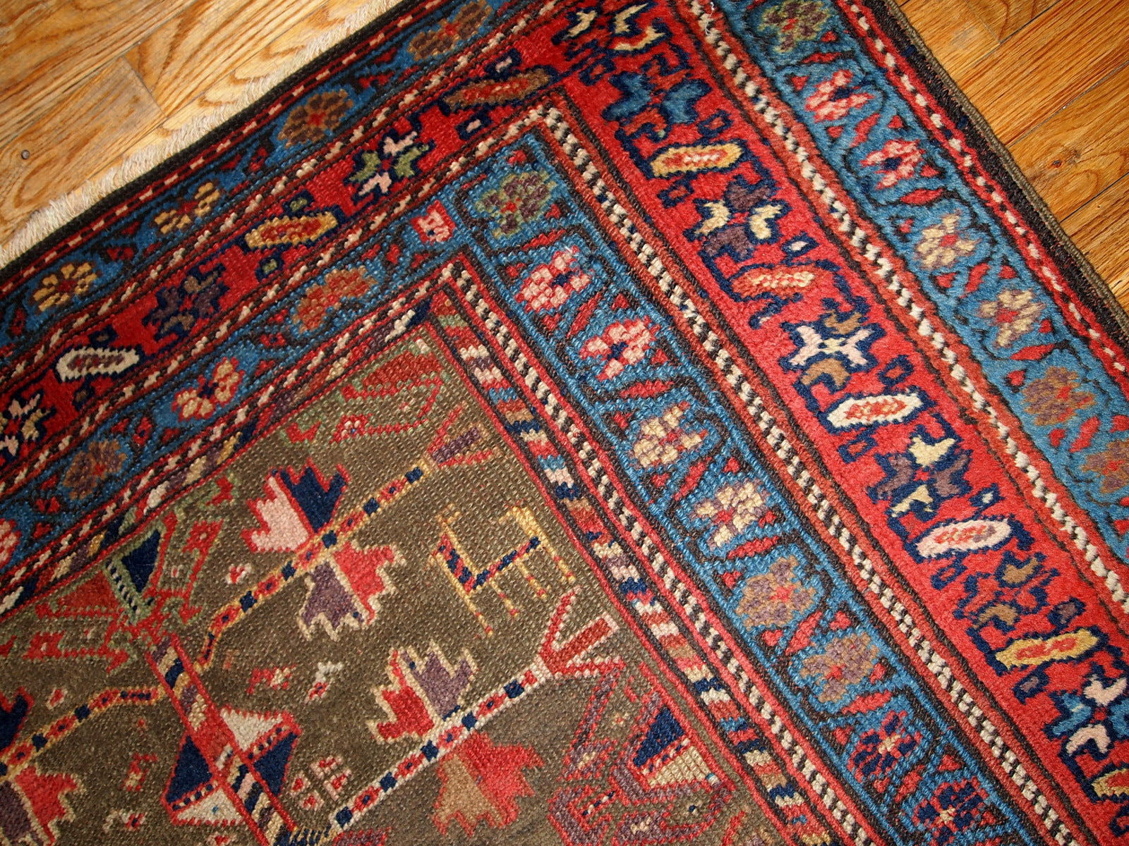 Antique Persian Kurdish rug in swampy green, red and blue colours. This rug is from the end of 19th century in good condition.