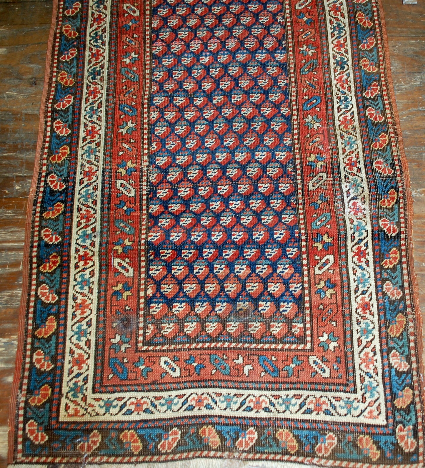 Antique hand made Caucasian Gendje rug in original condition. The rug has navy blue border and all over deign in red shades. 