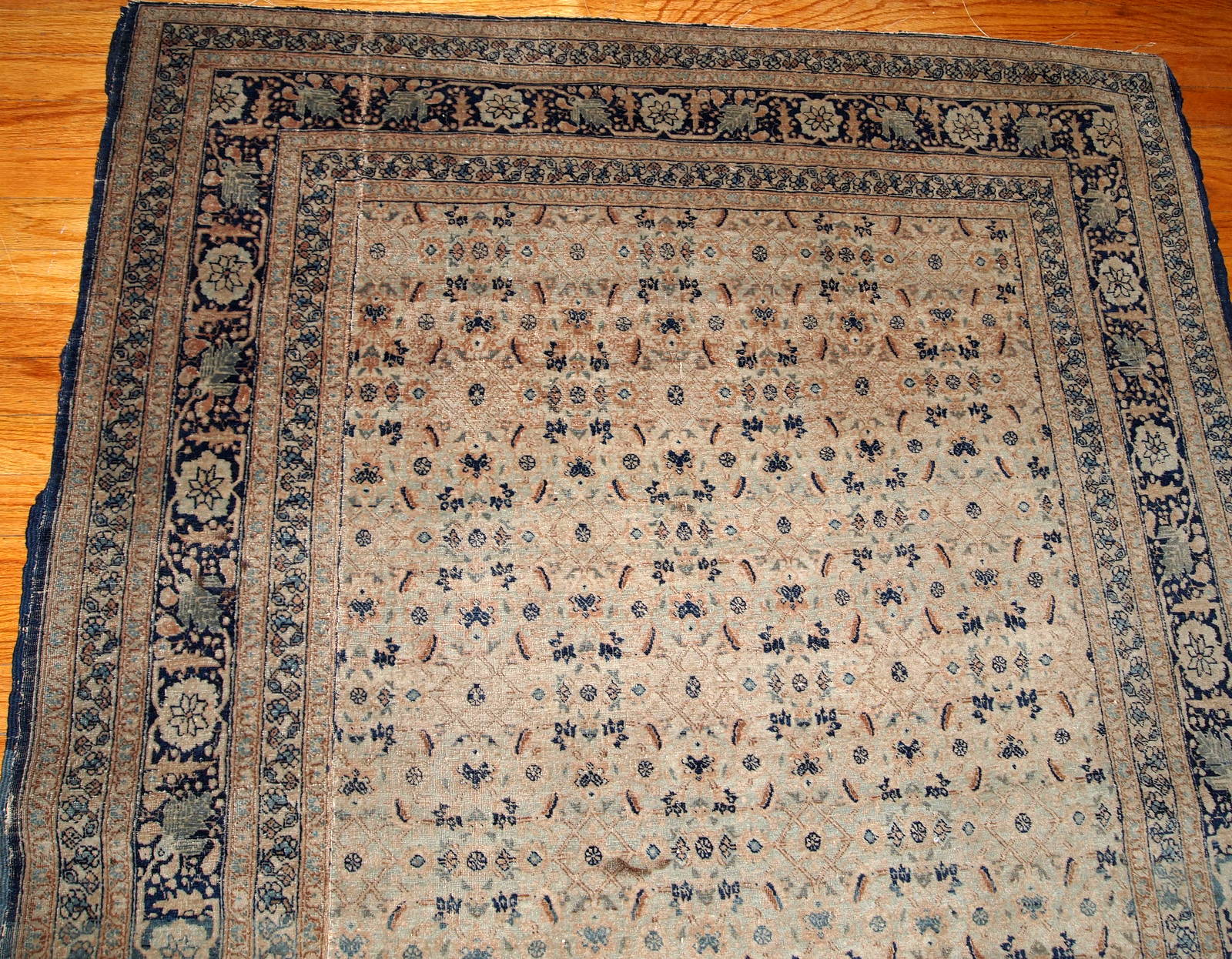Antique Persian Tabriz Hajalili rug in beige, brown and blue wool. The rug is from the end of 19th century, it has one cut.