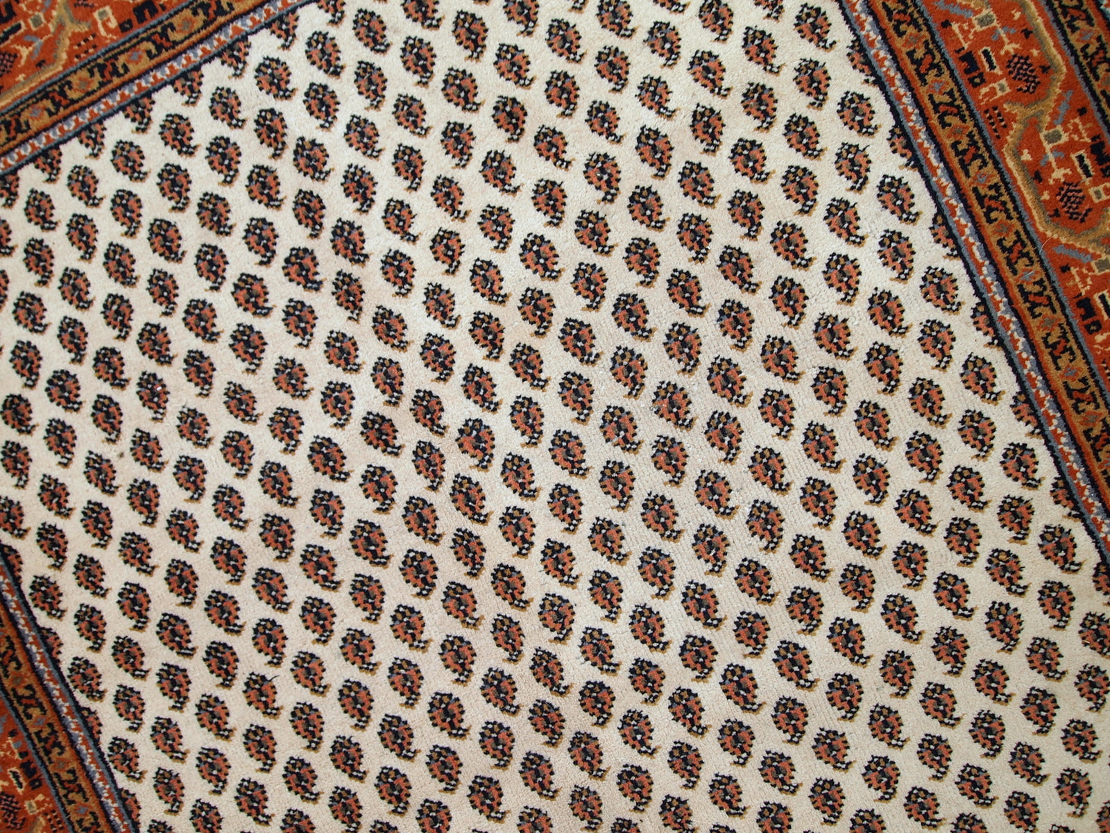 Vintage handmade Indian rug with Seraband design in white shade with rusty border. All-over design with paisley pattern. The rug is from the end of 20th century in original good condition.  
