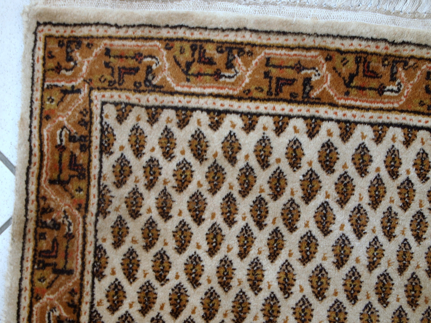 Vintage Indian rug in the style of Persian Seraband. Repeating pattern on the white field, the border is geometric in brown and olive shades. it is in original good condition with full thick pile.
