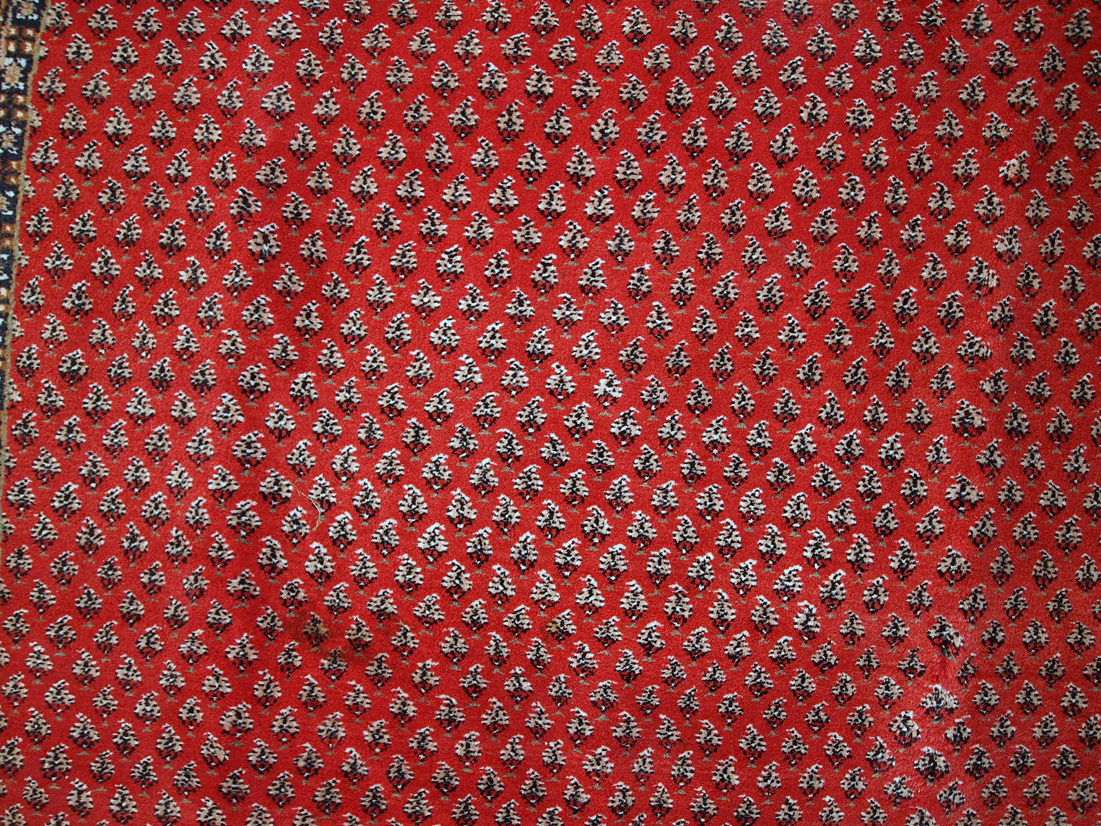Vintage handmade Indian rug with Persian Seraband design in red with white border. All-over design with repeating pattern. The rug is from the end of 20th century in original good condition.  ​​